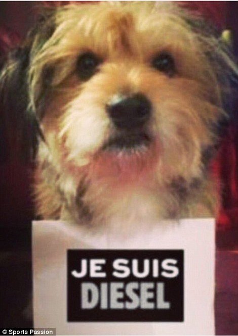 Η Ντίζελ, το σκυλί της αστυνομίας, λίγα λεπτά πριν τη σκοτώσουν οι τρομοκράτες - Πηγαίνοντας στο διαμέρισμα του Σεν Ντενί [εικόνες] | iefimerida.gr 3