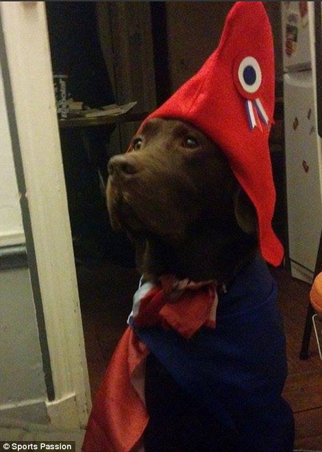 Η Ντίζελ, το σκυλί της αστυνομίας, λίγα λεπτά πριν τη σκοτώσουν οι τρομοκράτες - Πηγαίνοντας στο διαμέρισμα του Σεν Ντενί [εικόνες] | iefimerida.gr 6