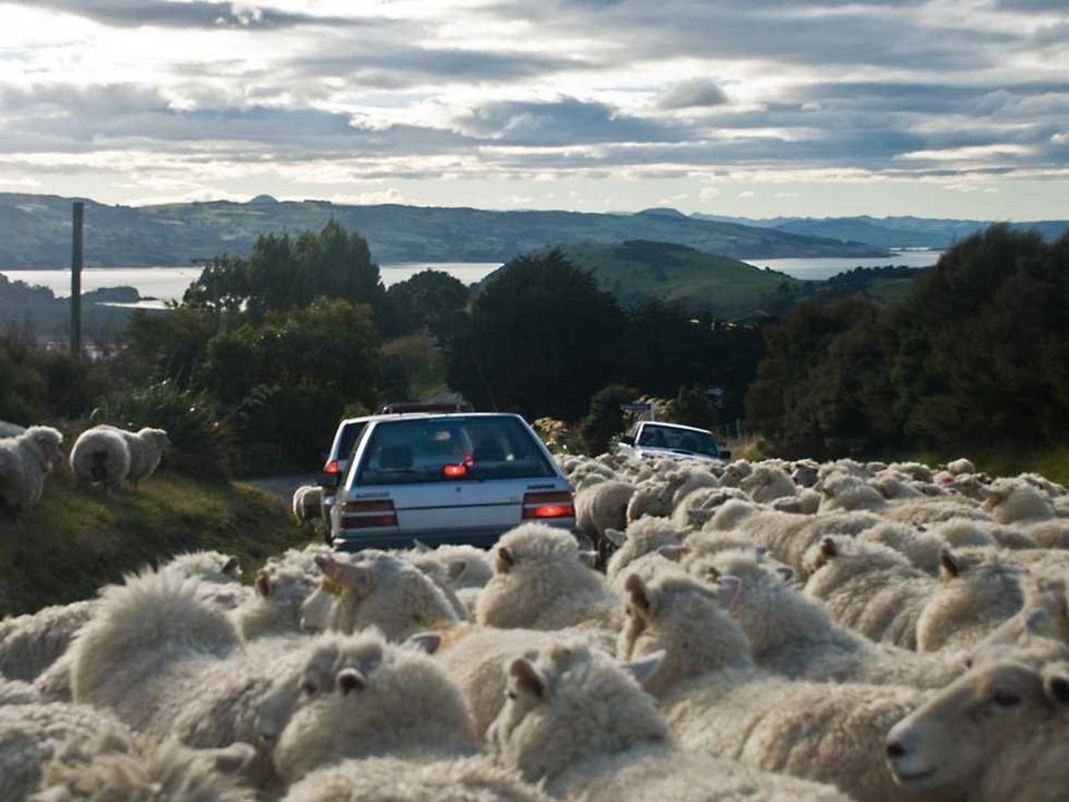 Ο παράδεισος των επιχειρήσεων: Οι 18 καλύτερες χώρες για τη ίδρυση και τη λειτουργία τους [εικόνες] | iefimerida.gr 16