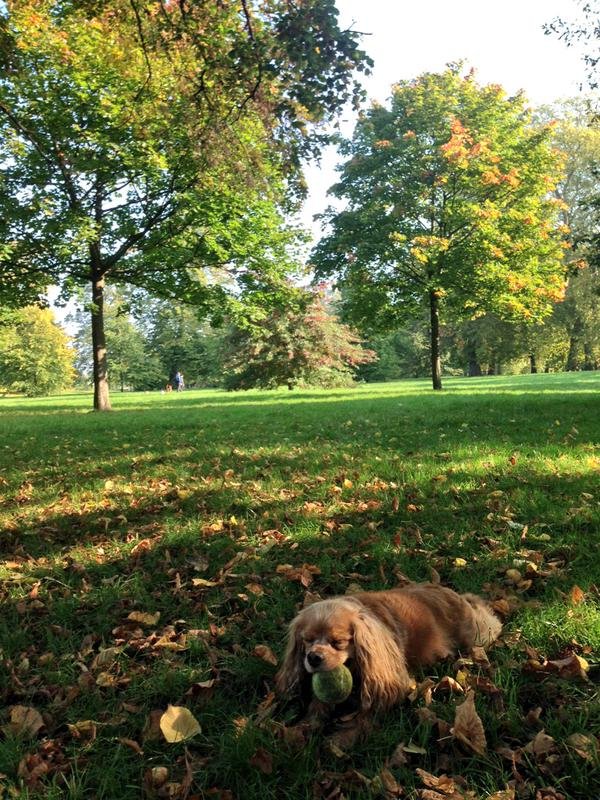 Ινδιάνικο καλοκαίρι: Ετσι ονομάζονται οι ηλιόλουστες μέρες του Νοεμβρίου -Δείτε γιατί [εικόνες] | iefimerida.gr 5