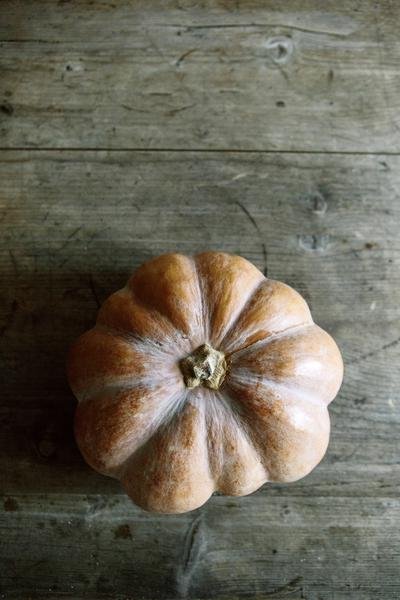 Τα 10 καλύτερα τρόφιμα του φθινοπώρου -Χτίστε την υγεία σας [εικόνες] | iefimerida.gr 2