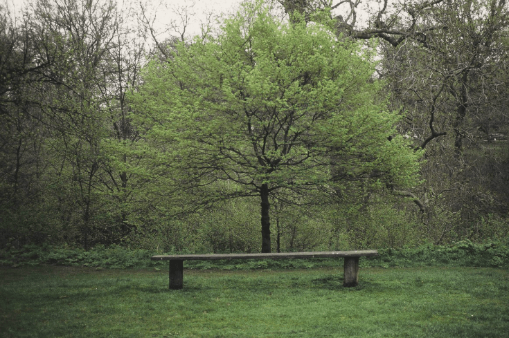 Κάτι τρέχει στην πλατεία Αυδή [εικόνες] | iefimerida.gr 2