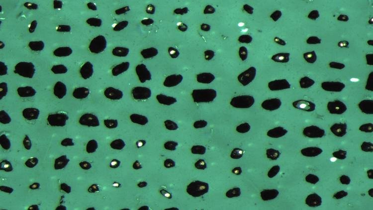 Βρέθηκε η αρχαιότερη μορφή ζωής στην Γη: Πριν από 4.1 δισεκατομμύρια έτη [εικόνα] | iefimerida.gr 0