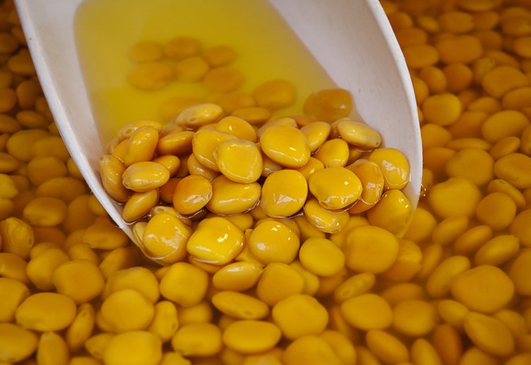 Λούπινο, το «κρέας του φτωχού»: Η καλλιέργειά του δίνει 400 ευρώ το στρέμμα -Τι είναι ο καρπός αυτός [εικόνες] | iefimerida.gr 1