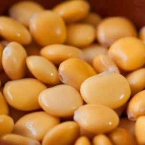 Λούπινο, το «κρέας του φτωχού»: Η καλλιέργειά του δίνει 400 ευρώ το στρέμμα -Τι είναι ο καρπός αυτός [εικόνες] | iefimerida.gr 3