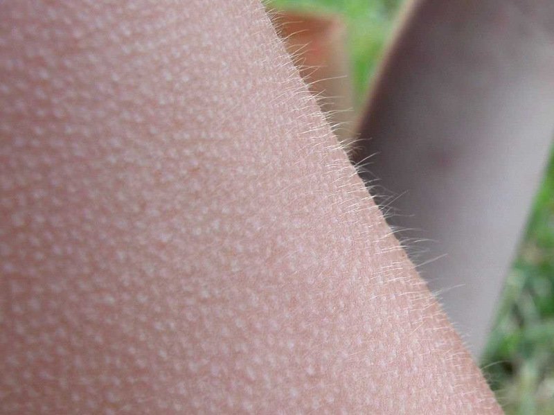 10 άγνωστες αλλά άκρως συναρπαστικές πληροφορίες για τον κόσμο [λίστα & εικόνες] | iefimerida.gr 1