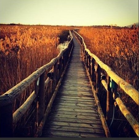 Ιταλική πόλη πληρώνει τους κατοίκους της να κυκλοφορούν με ποδήλατο αντί για αυτοκίνητο [εικόνες] | iefimerida.gr 2