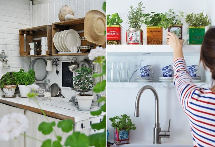 Βάλτε γλάστρες στην κουζίνα σας και δείτε τη ζωή αλλιώς [εικόνες] | iefimerida.gr 0