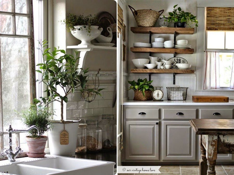 Βάλτε γλάστρες στην κουζίνα σας και δείτε τη ζωή αλλιώς [εικόνες] | iefimerida.gr 1