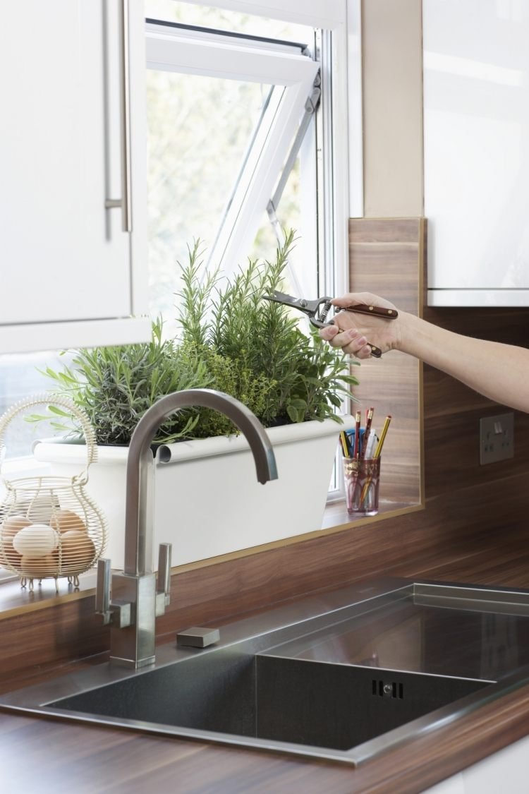 Βάλτε γλάστρες στην κουζίνα σας και δείτε τη ζωή αλλιώς [εικόνες] | iefimerida.gr 4