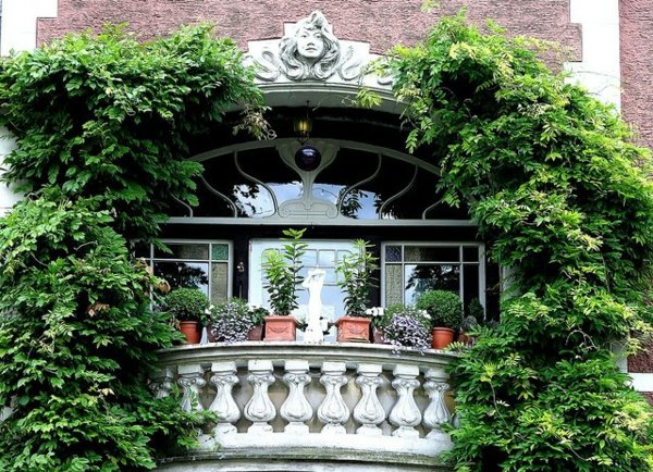 Βάλτε γλάστρες στην κουζίνα σας και δείτε τη ζωή αλλιώς [εικόνες] | iefimerida.gr 7