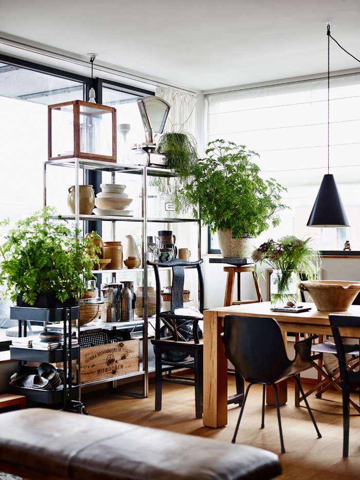 Βάλτε γλάστρες στην κουζίνα σας και δείτε τη ζωή αλλιώς [εικόνες] | iefimerida.gr 3