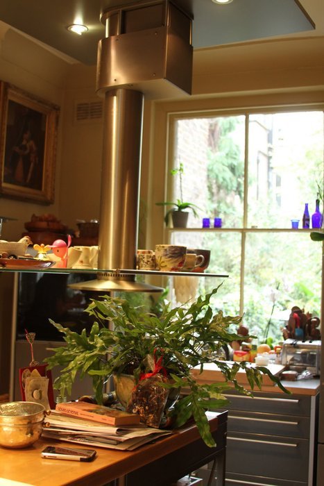 Βάλτε γλάστρες στην κουζίνα σας και δείτε τη ζωή αλλιώς [εικόνες] | iefimerida.gr 6