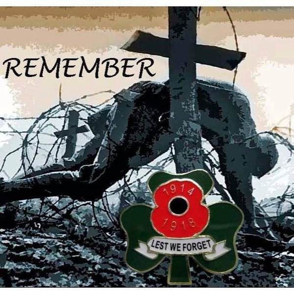 Τι είναι η κόκκινη παπαρούνα που φοράνε μανιωδώς όλοι οι Βρετανοί [εικόνες] | iefimerida.gr 11