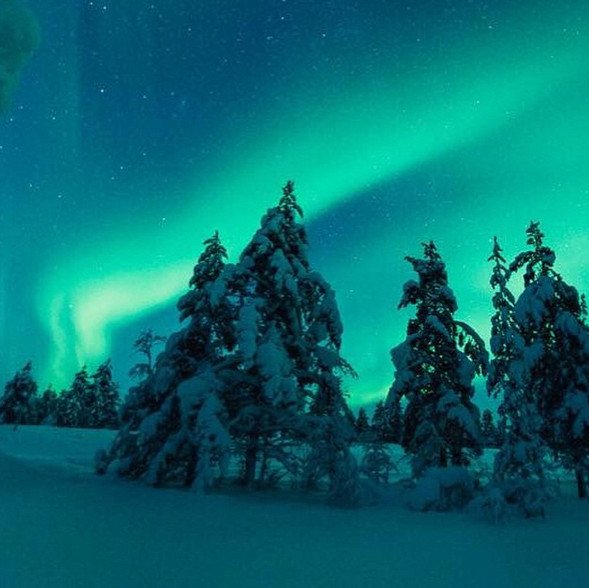 Το ξενοδοχείο με την πιο σπάνια θέα -Κοιμάσαι σε ιγκλού και βλέπεις το Βόρειο Σέλας [εικόνες] | iefimerida.gr 2