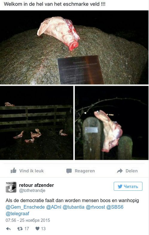 Κομμένα κεφάλια γουρουνιών στην υποδοχή προσφύγων - «Καλώς ήρθατε στην κόλαση» [βίντεο] | iefimerida.gr 0