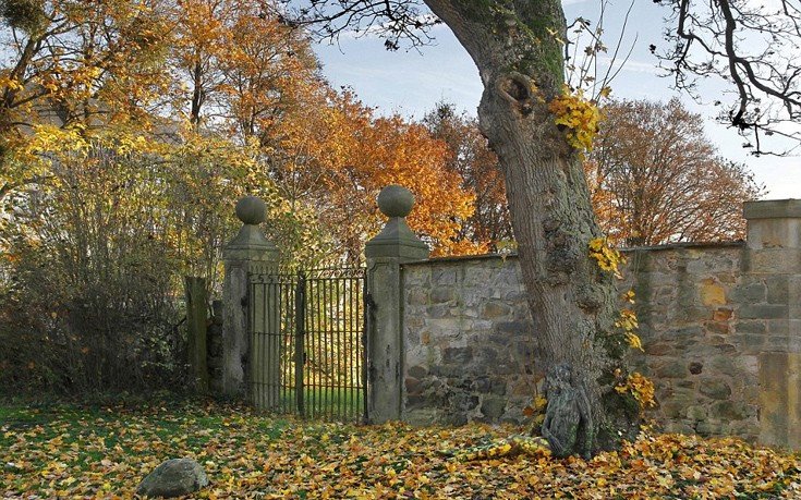 Mία οφθαλμαπάτη στο δάσος - Το γυμνό μοντέλο που έγινε ένα με τη φύση [εικόνες]  | iefimerida.gr 0