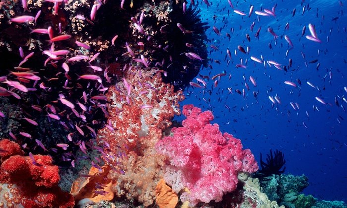 Οι πιο γενναιόδωρες χώρες στον κόσμο -Κακές επιδόσεις της Ελλάδας σε δωρεές και εθελοντισμό [εικόνες] | iefimerida.gr 5