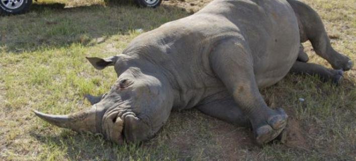 Το Facebook δεν θα υπάρχει σε 5 χρόνια- 7 ακόμη πράγματα, ζώα, φαγητά που θα εξαφανιστούν [εικόνες] | iefimerida.gr 7
