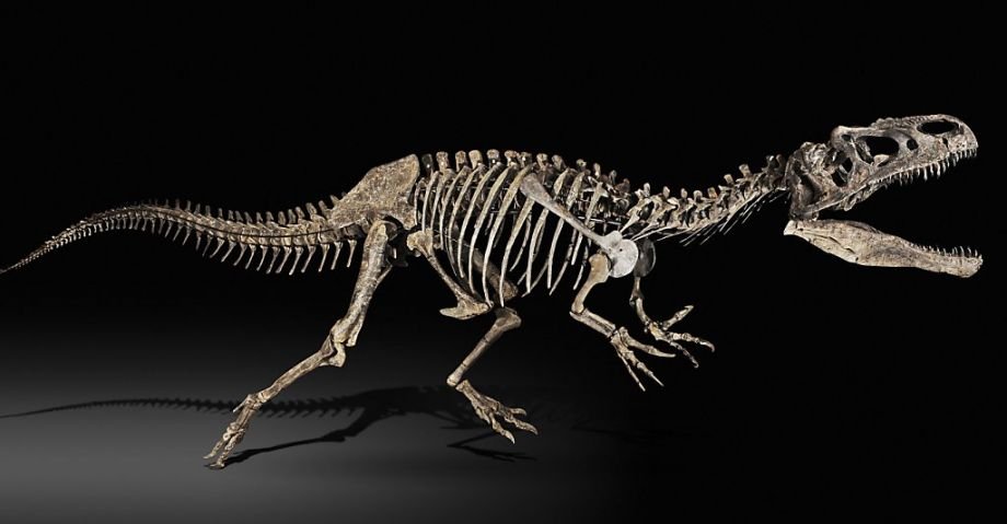 Υπάρχουμε... κατά τύχη: Οι διαβολικές συμπτώσεις, που οδήγησαν στην ανθρωπότητα [εικόνες] | iefimerida.gr 1