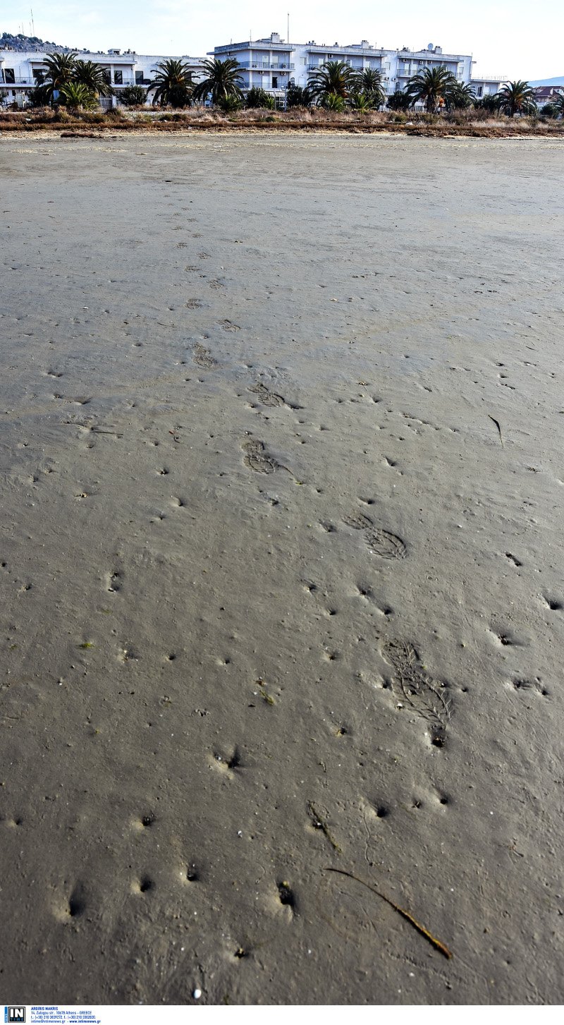 Εξαφανίστηκε ξανά η θάλασσα στο Ναύπλιο -Ο βυθός έγινε... παραλία [εικόνες & βίντεο] | iefimerida.gr 9