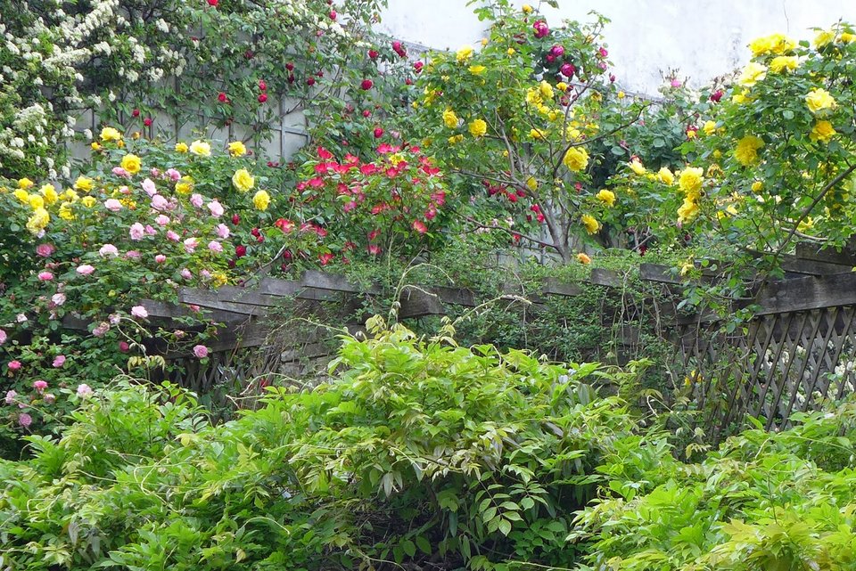 Το Παρίσι διαθέτει ειδικά κτίρια για να μένουν καλλιτέχνες και ζωγράφοι - Ενας άλλος κόσμος [εικόνες] | iefimerida.gr 14