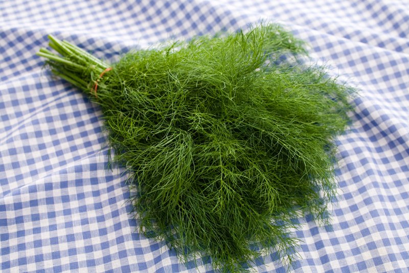 Τα 4 φθηνά supefoods του χειμώνα [εικόνες] | iefimerida.gr 1