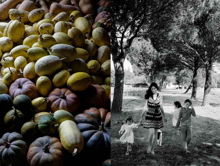 Εκανε το σπίτι και τη ζωή της σαν όνειρο -Ολοι τρέχουν στη Γαλλία να δουν από κοντά πώς ζει η Μιμή Τόρισον [εικόνες] | iefimerida.gr 11