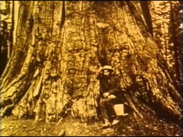 Αυτές είναι οι 25 ταινίες που πρέπει να δουν όλες οι επόμενες γενιές [εικόνες] | iefimerida.gr 3