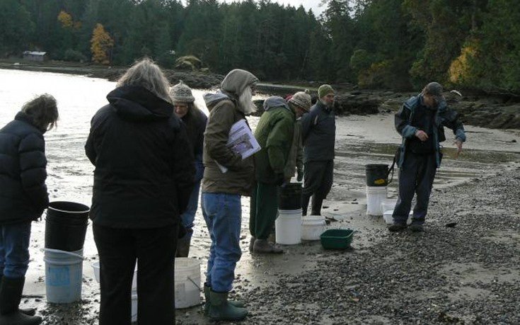 Το νησί του «σκότους»: Εκεί που οι κάτοικοι ζουν χωρίς ρεύμα και χρήματα [εικόνες]  | iefimerida.gr 6
