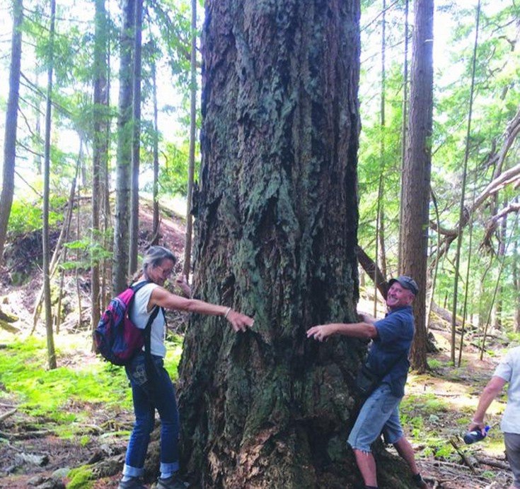 Το νησί του «σκότους»: Εκεί που οι κάτοικοι ζουν χωρίς ρεύμα και χρήματα [εικόνες]  | iefimerida.gr 8