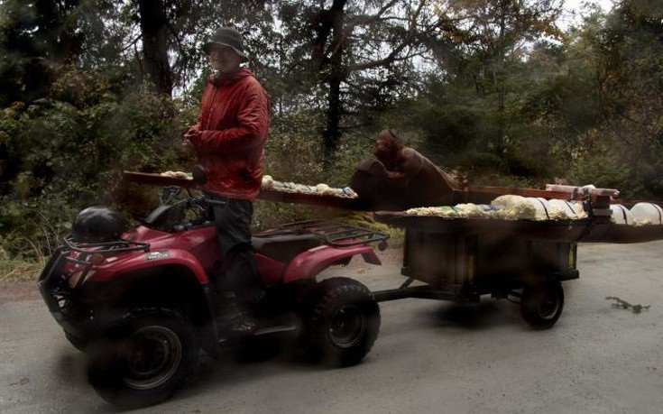 Το νησί του «σκότους»: Εκεί που οι κάτοικοι ζουν χωρίς ρεύμα και χρήματα [εικόνες]  | iefimerida.gr 7