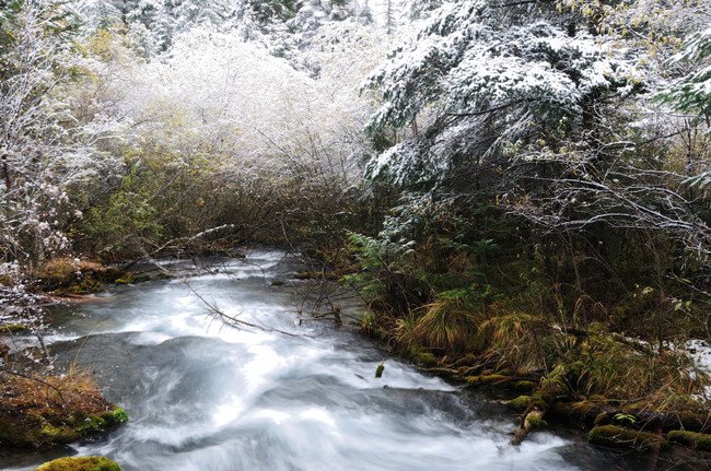 Η κοιλάδα του Jiuzhai: Το μνημειώδες δημιούργημα της φύσης [εικόνες]   | iefimerida.gr 1