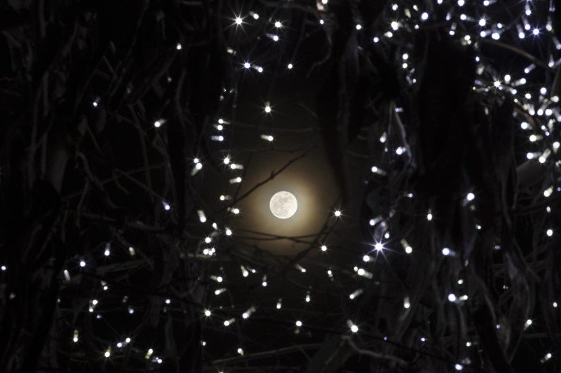 Μάγεψε το «Παγωμένο Φεγγάρι» -Το σπάνιο φαινόμενο στον ελληνικό ουρανό μέσα από 26 φωτογραφίες [εικόνες] | iefimerida.gr 18