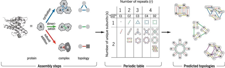 Οι πρωτεΐνες απέκτησαν τον δικό τους περιοδικό πίνακα [εικόνα] | iefimerida.gr 0