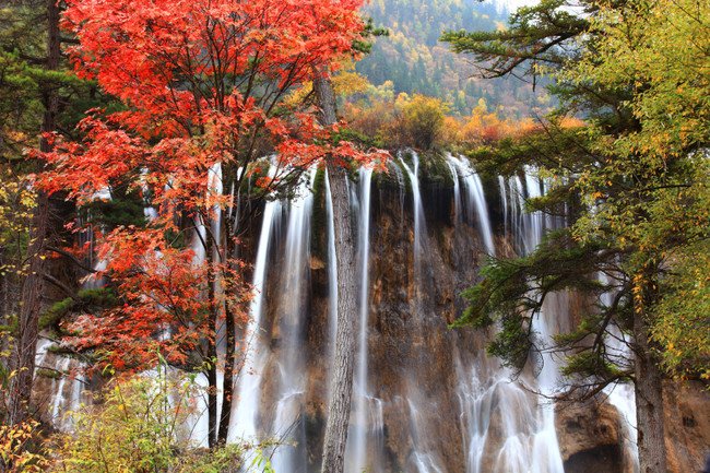 Η κοιλάδα του Jiuzhai: Το μνημειώδες δημιούργημα της φύσης [εικόνες]   | iefimerida.gr 6