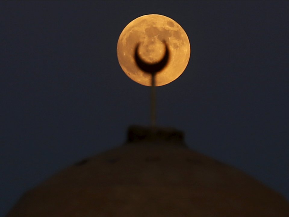 Αυτές είναι οι φωτογραφίες του Reuters που έκαναν θραύση στο Instagram φέτος | iefimerida.gr 13