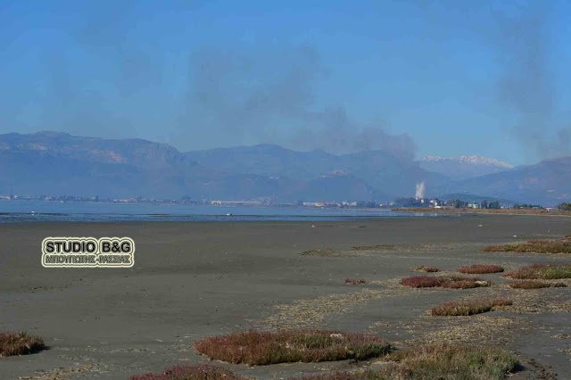 Ενα μοναδικό φαινόμενο: «Εξαφανίστηκε» η θάλασσα στο Ναύπλιο [εικόνες & βίντεο] | iefimerida.gr 3