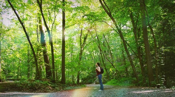 Υπάρχουμε... κατά τύχη: Οι διαβολικές συμπτώσεις, που οδήγησαν στην ανθρωπότητα [εικόνες] | iefimerida.gr 2