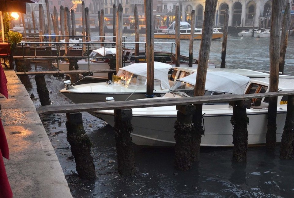 Αδειασαν από νερό τα κανάλια της Βενετίας -Δεν μπορούν να κινηθούν ούτε οι γόνδολες [εικόνες] | iefimerida.gr 3