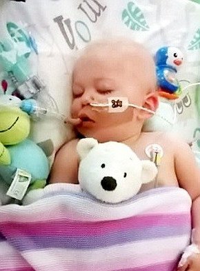 Ενα Χριστουγεννιάτικο θαύμα -Κοριτσάκι «ξαναζωντάνεψε» μισή ώρα μετά τον θάνατό της [εικόνες]  | iefimerida.gr 4