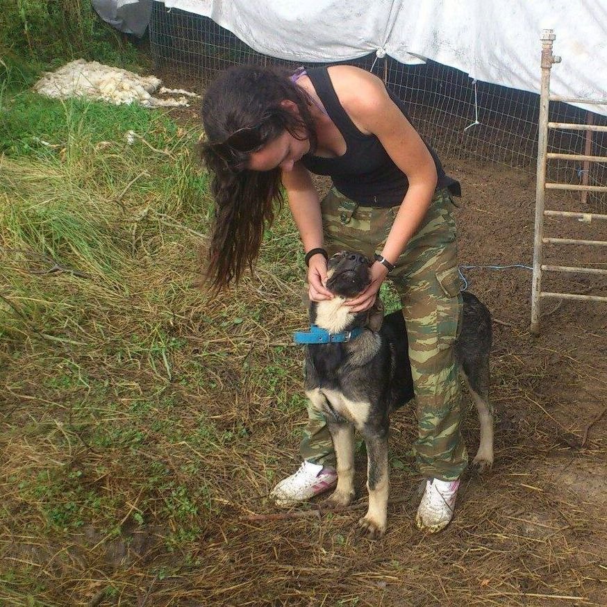 H 24χρονη που άφησε τους VIP του αεροδρομίου για να γίνει κτηνοτρόφος στην Ηγουμενίτσα [εικόνες] | iefimerida.gr 2