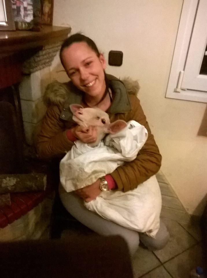 H 24χρονη που άφησε τους VIP του αεροδρομίου για να γίνει κτηνοτρόφος στην Ηγουμενίτσα [εικόνες] | iefimerida.gr 1