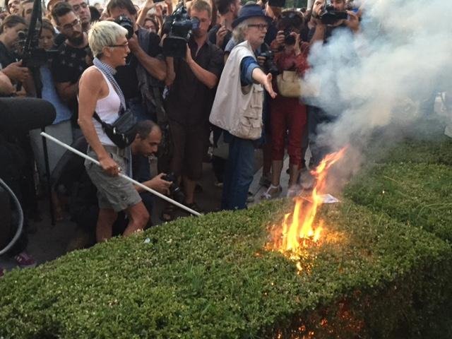 Ποια είναι η Αυγή Βουτσινά που πέταξε την κότα στο Μέγαρο Μαξίμου [εικόνες] | iefimerida.gr 4