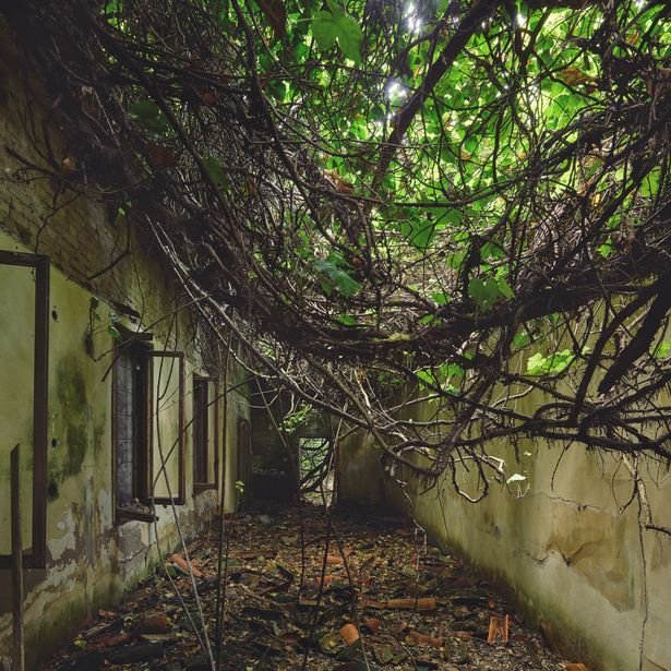 Η ομορφιά της εγκατάλειψης -«Μαραζωμένα» κτίρια σε «μυστικές» τοποθεσίες [εικόνες] | iefimerida.gr 9