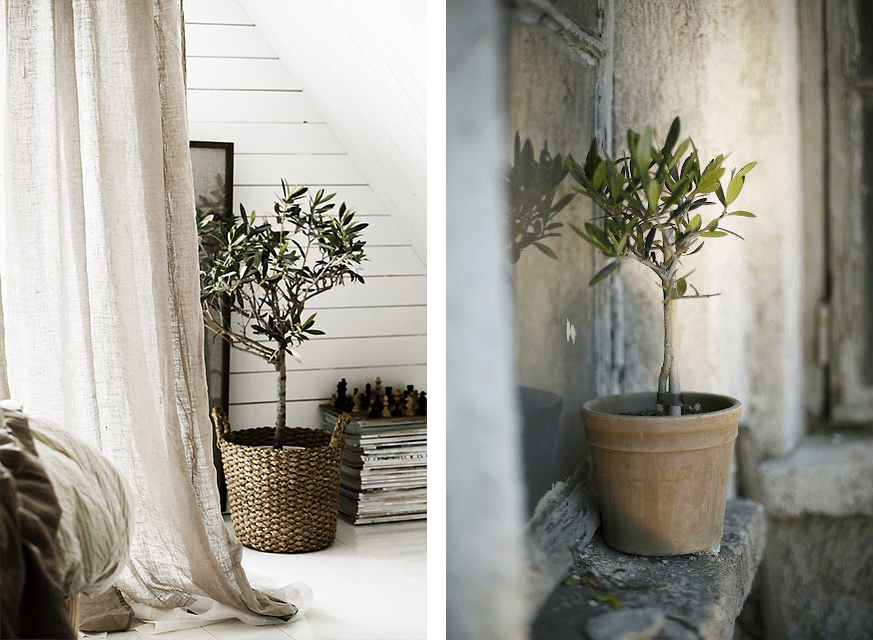 Αλλάξτε το εξοχικό σας -Κάντε το σικ και νοσταλγικό [εικόνες] | iefimerida.gr 11