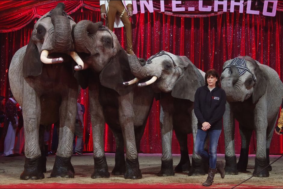 Η Στεφανί στο τσίρκο -Η παρακμή μιας πριγκίπισσας [εικόνες] | iefimerida.gr 0