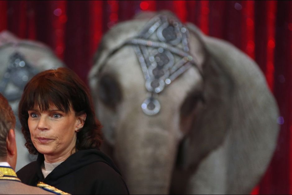 Η Στεφανί στο τσίρκο -Η παρακμή μιας πριγκίπισσας [εικόνες] | iefimerida.gr 1