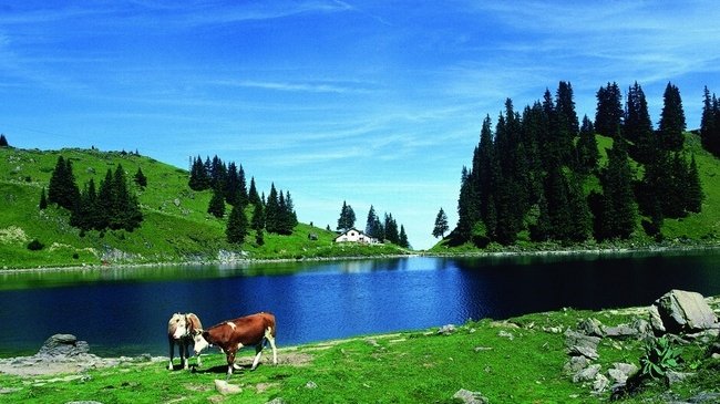 Το «άλλο» Νταβός -Χλιδή, σκι και ατέλειωτες μπουτίκ [εικόνες] | iefimerida.gr 8