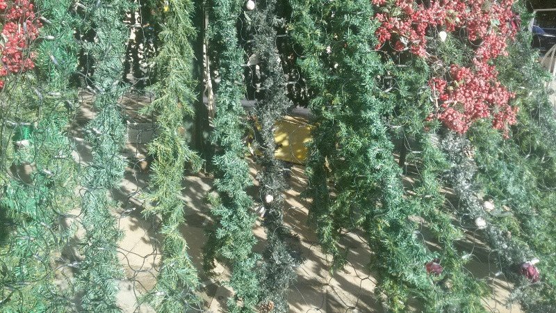 Αγνωστοι κατέστρεψαν το χριστουγεννιάτικο δέντρο στην πλατεία των Χανίων [εικόνες] | iefimerida.gr 2